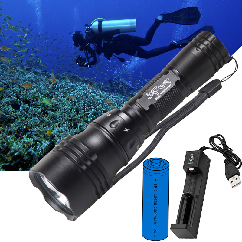 Fish Finder Charger - Duiklamp Draagbaar 10W T6 L2 LED